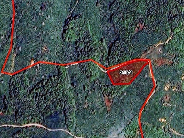 MNK | SATILIK GÜMÜŞOVA YILDIZTEPE KÖYÜN DE FINDIKLIK 1935M2 - Görsel 8