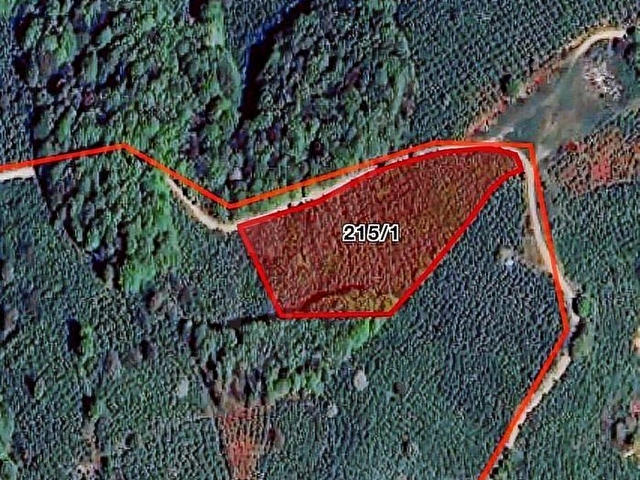 MNK | SATILIK GÜMÜŞOVA YILDIZTEPE KÖYÜN DE FINDIKLIK 1935M2 - Görsel 6