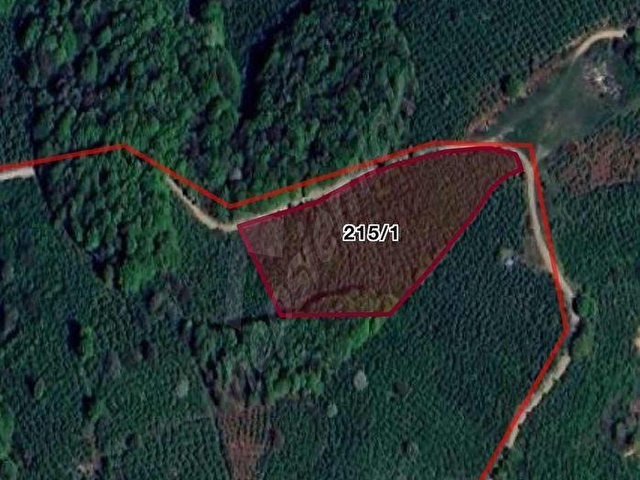 MNK | SATILIK GÜMÜŞOVA YILDIZTEPE KÖYÜN DE FINDIKLIK 1935M2 - Görsel 7