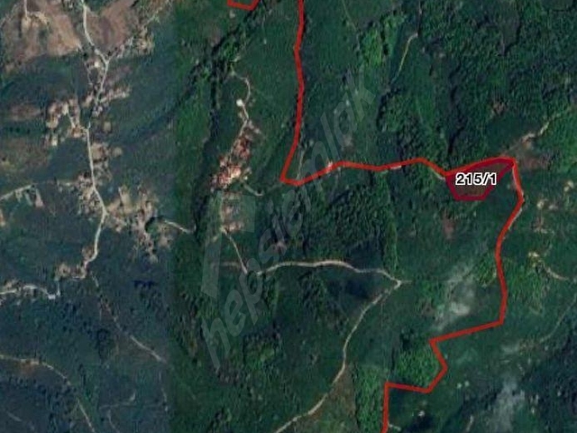 MNK | SATILIK GÜMÜŞOVA YILDIZTEPE KÖYÜN DE FINDIKLIK 1935M2