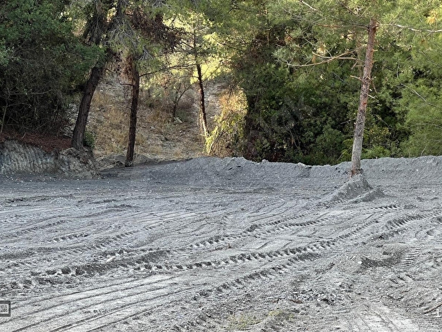 Kuşadası Kirazlıda 4100 m2 tek tapulu orman içinde emsalsiz - Görsel 13