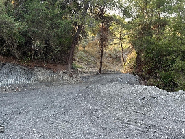 Kuşadası Kirazlıda 4100 m2 tek tapulu orman içinde emsalsiz - Görsel 3