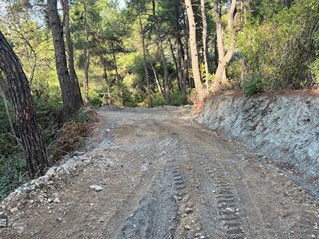 Kuşadası Kirazlıda 4100 m2 tek tapulu orman içinde emsalsiz - Görsel 19