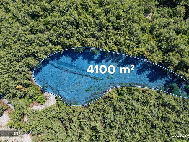 Kuşadası Kirazlıda 4100 m2 tek tapulu orman içinde emsalsiz - Görsel 22