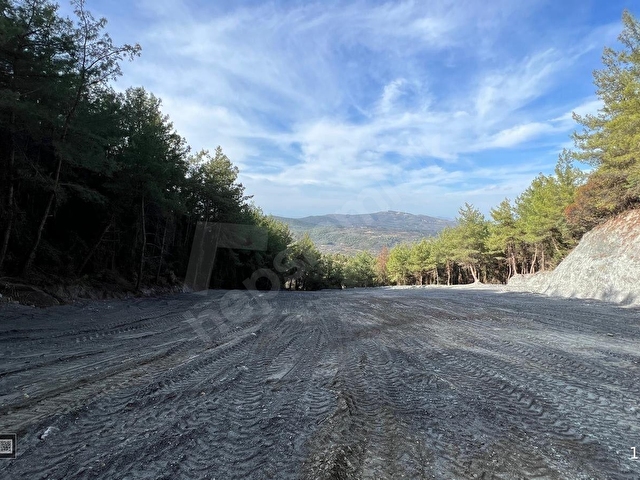 Kuşadası Kirazlıda 4100 m2 tek tapulu orman içinde emsalsiz - Görsel 21