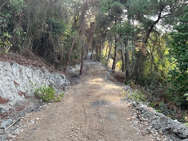 Kuşadası Kirazlıda 4100 m2 tek tapulu orman içinde emsalsiz - Görsel 18