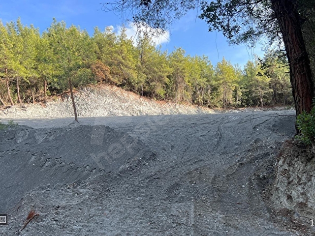 Kuşadası Kirazlıda 4100 m2 tek tapulu orman içinde emsalsiz - Görsel 5