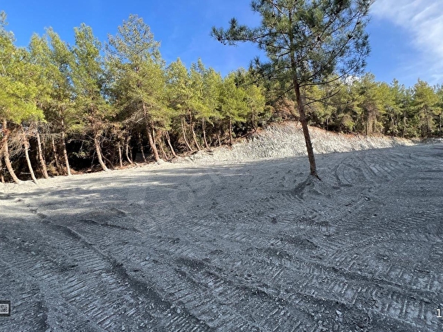 Kuşadası Kirazlıda 4100 m2 tek tapulu orman içinde emsalsiz - Görsel 4