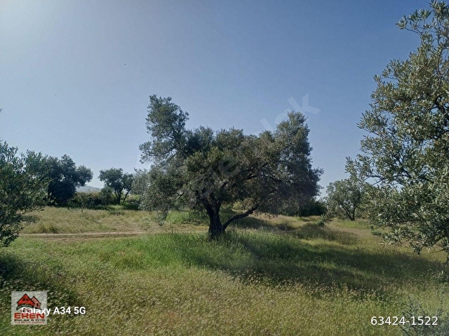 SATILIK ŞEREF MH DE 816M2 ZEYTİNLİK - Görsel 10