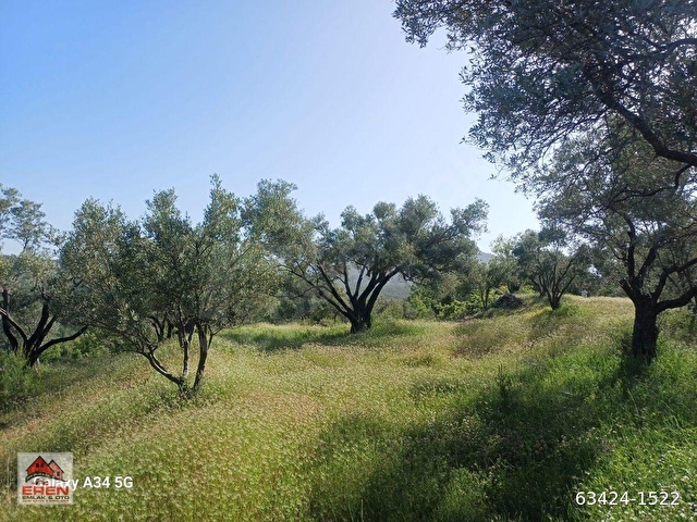 SATILIK ŞEREF MH DE 816M2 ZEYTİNLİK - Görsel 15