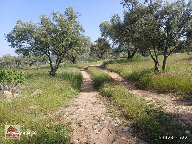 SATILIK ŞEREF MH DE 816M2 ZEYTİNLİK - Görsel 14