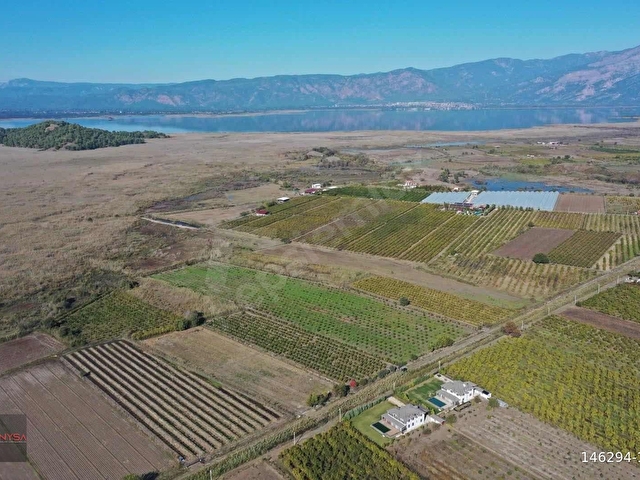 NYSA EMLAKTAN 7.744 M2 SATILIK ŞAHSİ TAPU NAR BAHÇESİ - Görsel 3