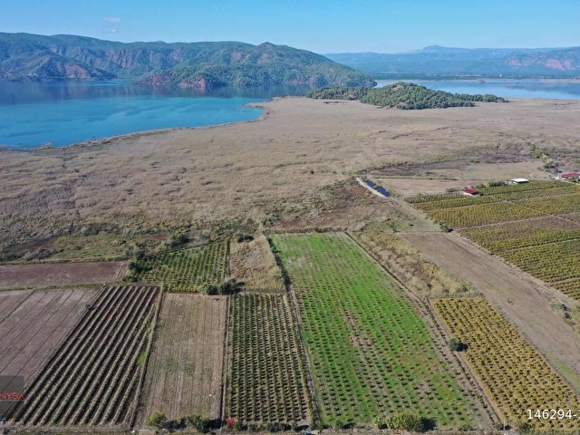 NYSA EMLAKTAN 7.744 M2 SATILIK ŞAHSİ TAPU NAR BAHÇESİ - Görsel 11