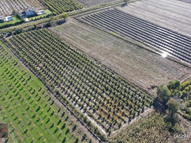NYSA EMLAKTAN 7.744 M2 SATILIK ŞAHSİ TAPU NAR BAHÇESİ - Görsel 9