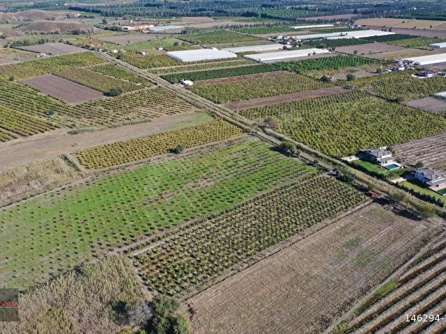 NYSA EMLAKTAN 7.744 M2 SATILIK ŞAHSİ TAPU NAR BAHÇESİ - Görsel 7