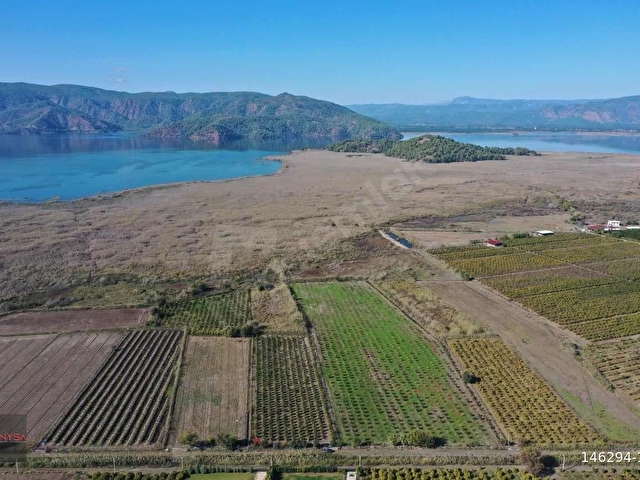 NYSA EMLAKTAN 7.744 M2 SATILIK ŞAHSİ TAPU NAR BAHÇESİ - Görsel 10