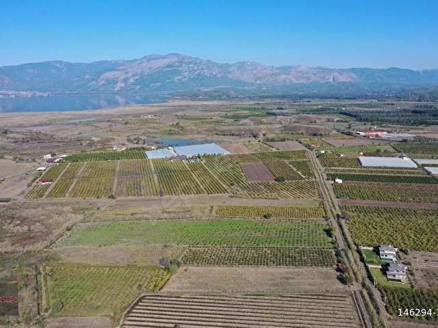 NYSA EMLAKTAN 7.744 M2 SATILIK ŞAHSİ TAPU NAR BAHÇESİ - Görsel 4