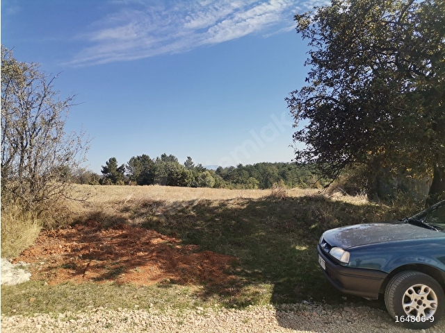 SAFRANBOLU A.ÇİFTLİKTE YOLU,SUYU VE ELEKTİRİĞİ OLAN  SATILIK FIRSAT TARLA - Görsel 2