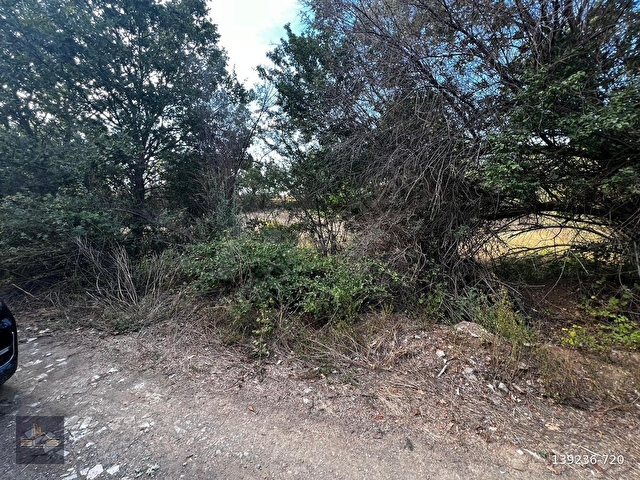 YALVAÇ BAĞKONAKDA İKİ TARAFI YOL 1200 M2 MUHTEŞEM BİR BAHÇE