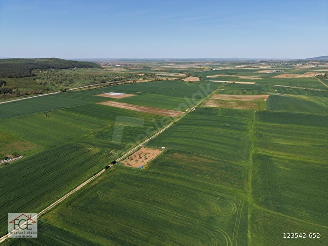 EGE EMLAKTAN ŞABANMERA KÖYÜNDE SATILIK 3.498 m2 TARLA - Görsel 11