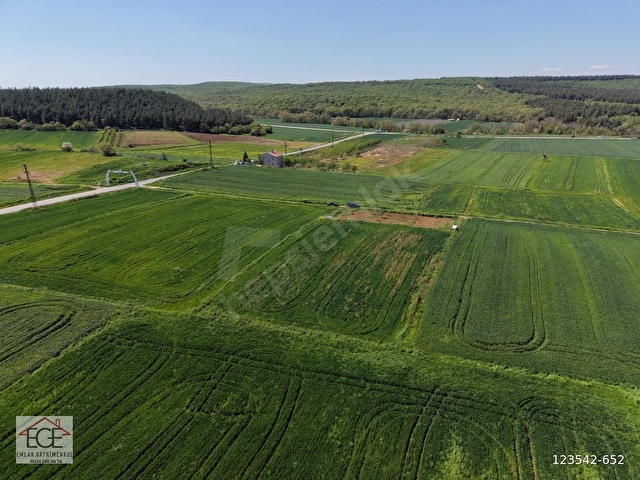 EGE EMLAKTAN ŞABANMERA KÖYÜNDE SATILIK 3.498 m2 TARLA - Görsel 13