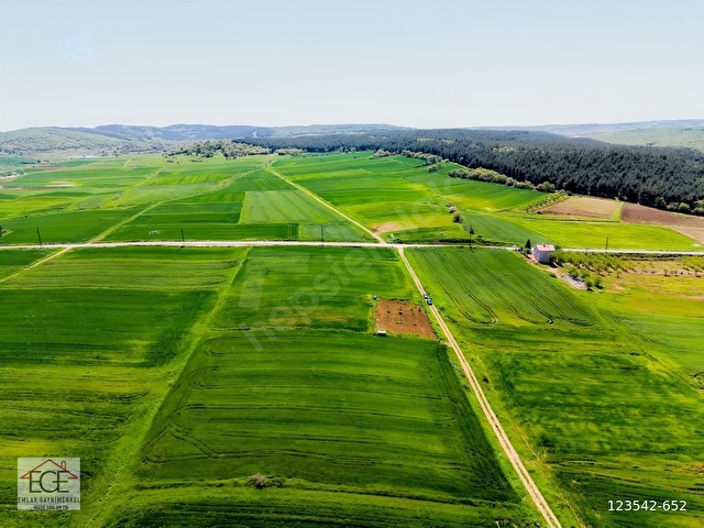 EGE EMLAKTAN ŞABANMERA KÖYÜNDE SATILIK 3.498 m2 TARLA - Görsel 14