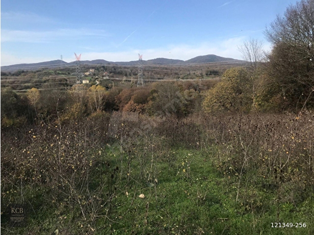 SATILIK FİLYOS LİMAN ÜSTÜNDE 8878 m2 FINDIKLIK ARAZİ - Görsel 20