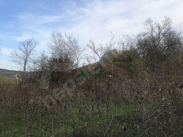 SATILIK FİLYOS LİMAN ÜSTÜNDE 8878 m2 FINDIKLIK ARAZİ - Görsel 18