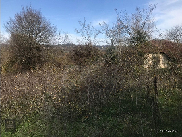 SATILIK FİLYOS LİMAN ÜSTÜNDE 8878 m2 FINDIKLIK ARAZİ - Görsel 21