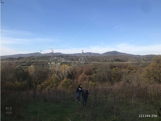 SATILIK FİLYOS LİMAN ÜSTÜNDE 8878 m2 FINDIKLIK ARAZİ
