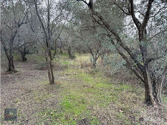 Yalova Koru Köyde Deniz Manzara 440 m2 İmarlı Arsa - Görsel 11