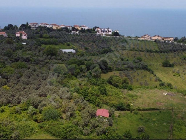 Yalova Koru Köyde Deniz Manzara 440 m2 İmarlı Arsa