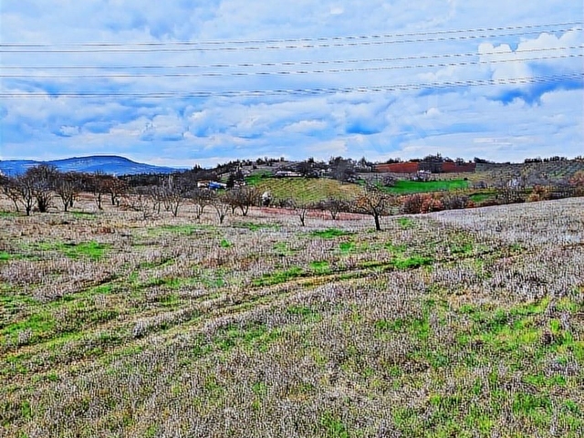 SANAYİ İMAR BÖLGESİNE VE ANA YOLA YAKIN, DEĞERLİ LOKASYON, - Görsel 25