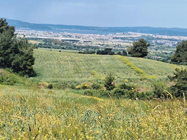ÇANAKKALE MERKEZ SARICAELİNDE SATILIK TARLA DENİZ MANZARALI - Görsel 7