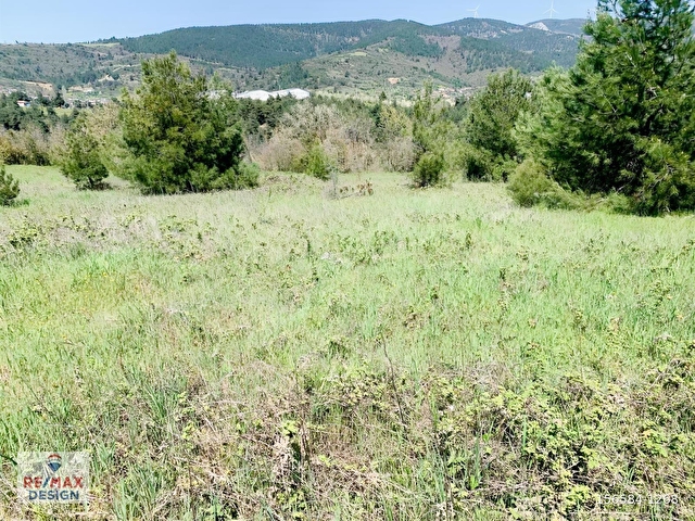 REMAX DESİGN GEYVE BURHANİYE MAHALLESİNDE 4504 M2 SATILIK TARLA - Görsel 6