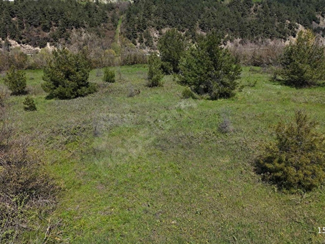 REMAX DESİGN GEYVE BURHANİYE MAHALLESİNDE 4504 M2 SATILIK TARLA - Görsel 14