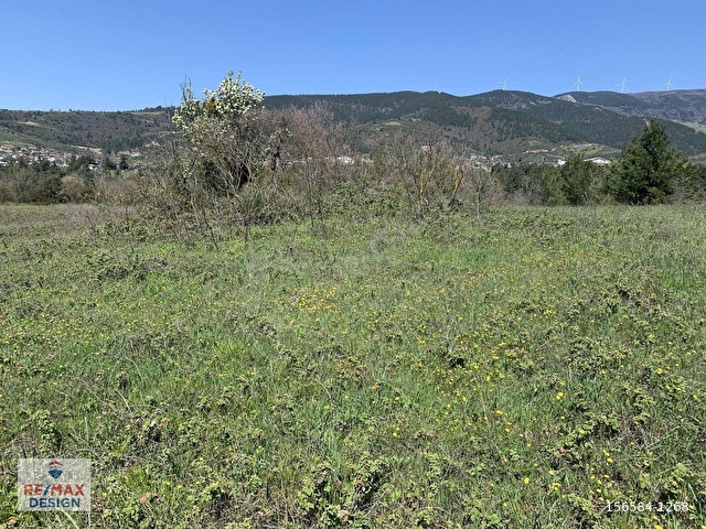 REMAX DESİGN GEYVE BURHANİYE MAHALLESİNDE 4504 M2 SATILIK TARLA - Görsel 10