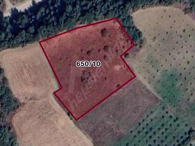 REMAX DESİGN GEYVE BURHANİYE MAHALLESİNDE 4504 M2 SATILIK TARLA - Görsel 4