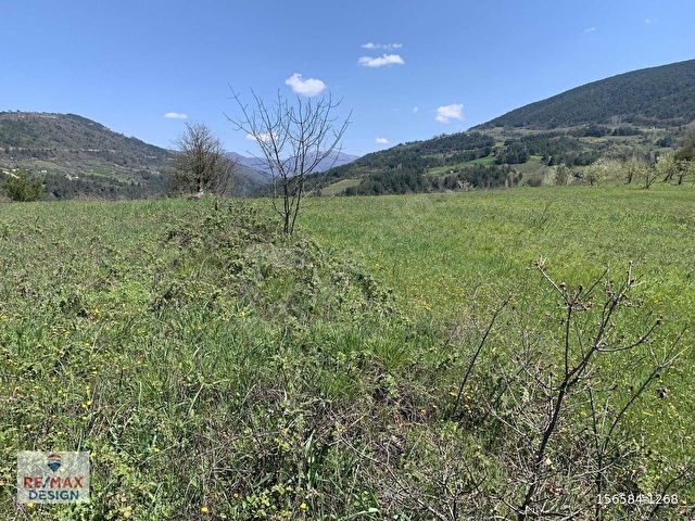 REMAX DESİGN GEYVE BURHANİYE MAHALLESİNDE 4504 M2 SATILIK TARLA - Görsel 7