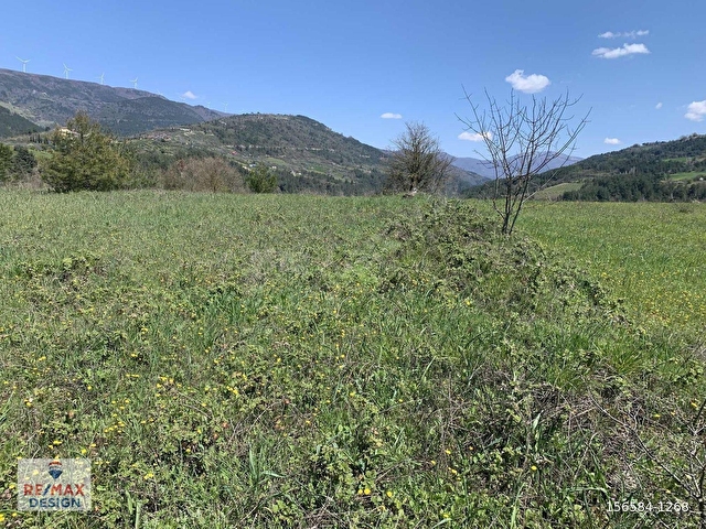 REMAX DESİGN GEYVE BURHANİYE MAHALLESİNDE 4504 M2 SATILIK TARLA - Görsel 8