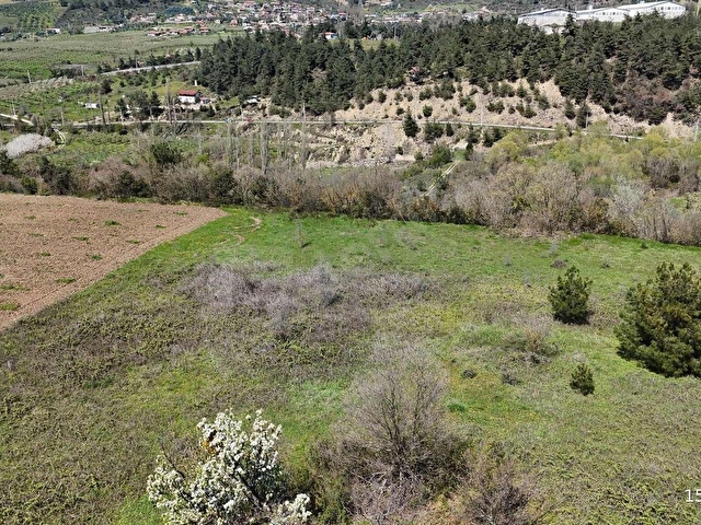 REMAX DESİGN GEYVE BURHANİYE MAHALLESİNDE 4504 M2 SATILIK TARLA - Görsel 13