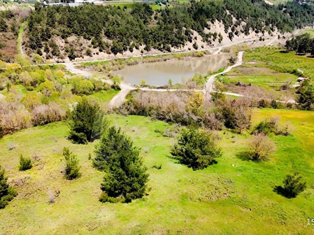 REMAX DESİGN GEYVE BURHANİYE MAHALLESİNDE 4504 M2 SATILIK TARLA - Görsel 2