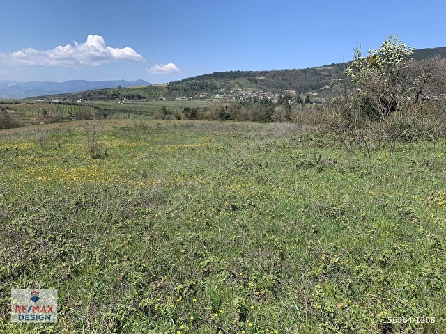 REMAX DESİGN GEYVE BURHANİYE MAHALLESİNDE 4504 M2 SATILIK TARLA - Görsel 11
