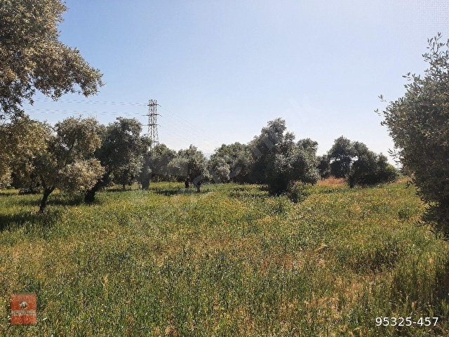 Efeler Kemer Satılık