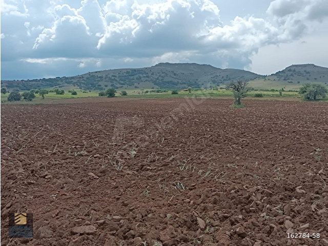 MERAM KARADİĞİN MAHALLESİNDE SATILIK 12.200 M2 MÜSTAKİL BAHÇE - Görsel 7