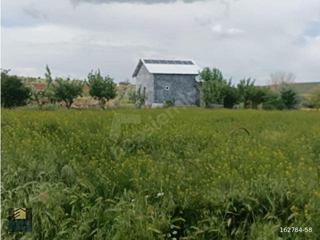 MERAM KARADİĞİN MAHALLESİNDE SATILIK 12.200 M2 MÜSTAKİL BAHÇE - Görsel 8