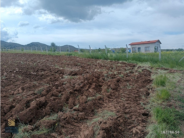 MERAM KARADİĞİN MAHALLESİNDE SATILIK 12.200 M2 MÜSTAKİL BAHÇE - Görsel 5