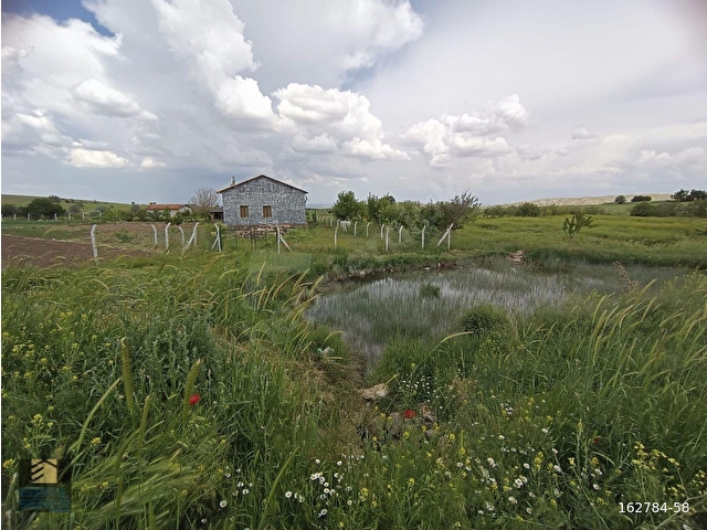 MERAM KARADİĞİN MAHALLESİNDE SATILIK 12.200 M2 MÜSTAKİL BAHÇE - Görsel 9