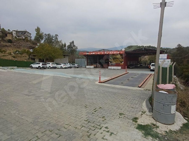 KARAİSALI,BEYDEMİRLİ KÖYÜNDE ANA YOLA SIFIR ZEYTİNYAĞI FABRİKASI - Görsel 4