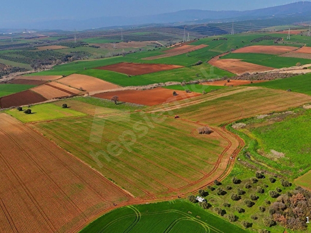 BURSA KARACABEY ARIZ MAHALLESİNDE 17.400 M² VERİMLİ SATILIK TARLA - Görsel 8